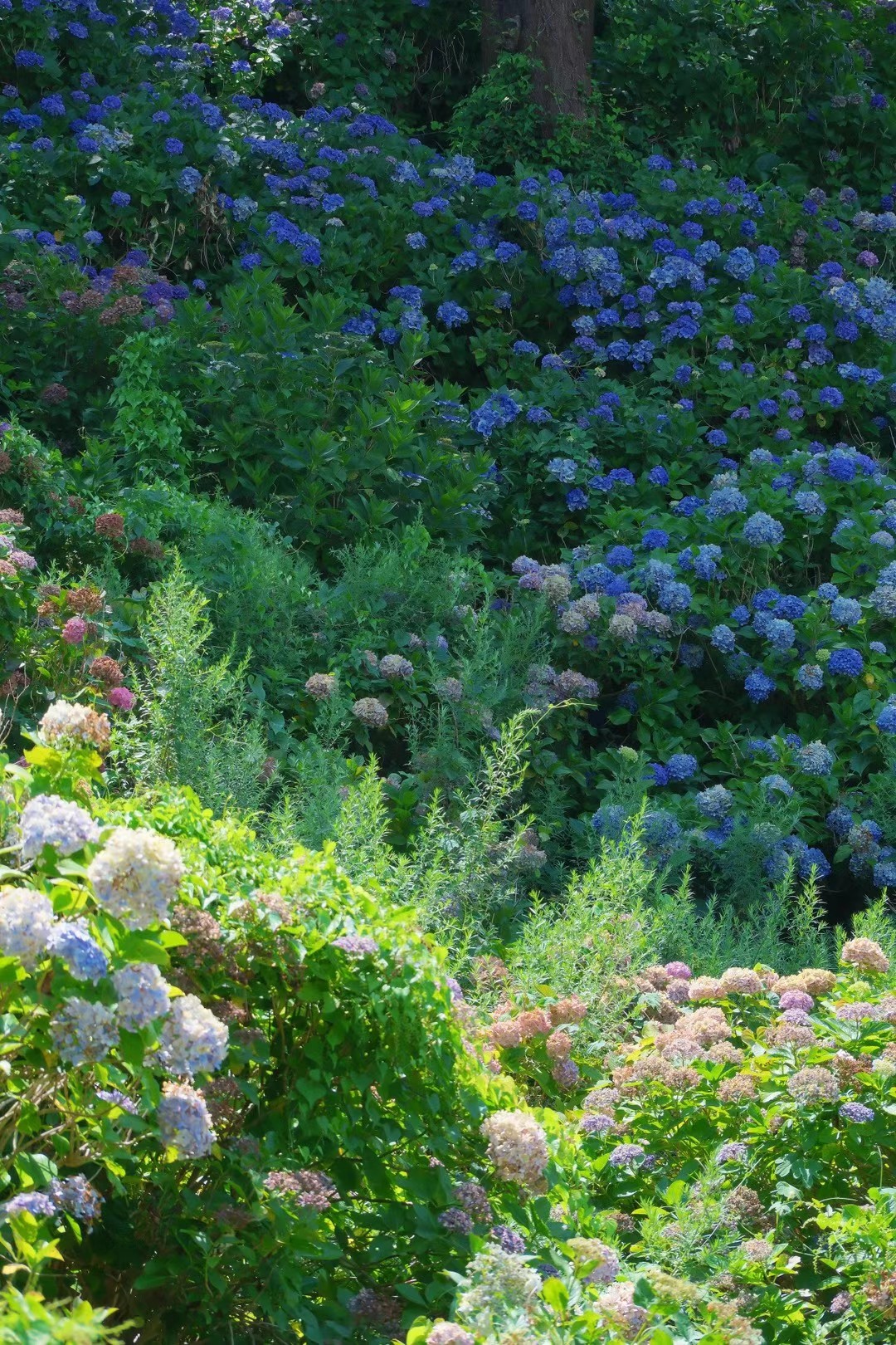 16 (2) from the seasons photography series.